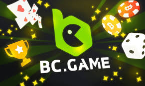 Exploring the Innovative World of Bcco