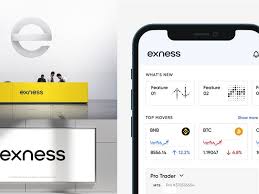 Exness Online Broker - Your Guide to Online Trading Success